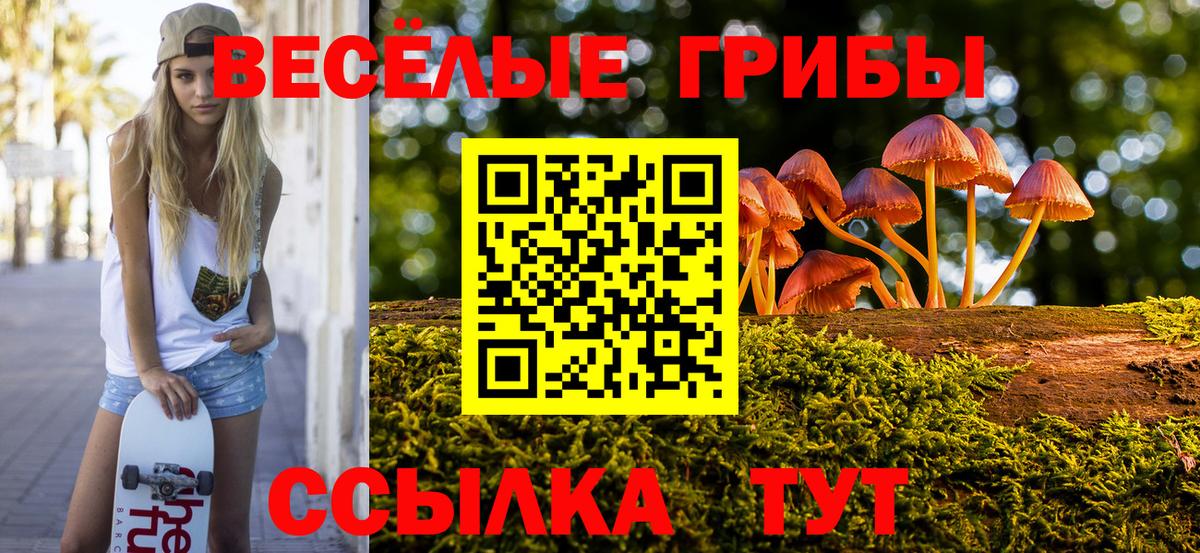 Бошки Шишки  Кокаин  Орёл  МЕФ кристаллы  Альфа ПВП СОЛЬ   Кетамин  Вход с VPN  МЕФ  MDMA 